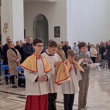 lso-promocja-202404-09.jpg
