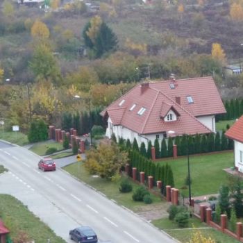 2009-10-30-081935009.jpg