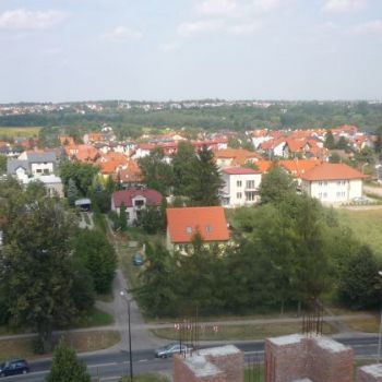 p1090189.jpg