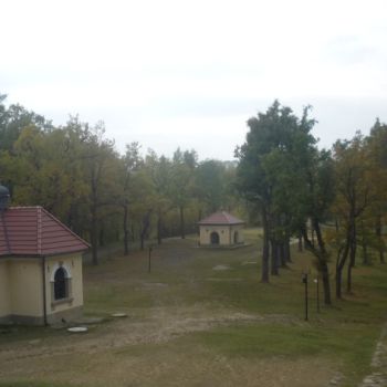 P1070748.jpg