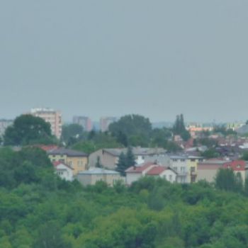 29-1.jpg