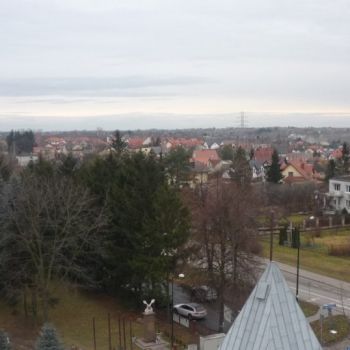 P1070887-1024x768.jpg