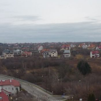 P1070903-1024x768.jpg