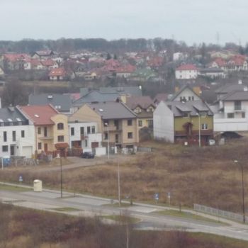 P1070915-1024x768.jpg