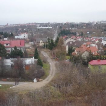P1070910-1024x768.jpg