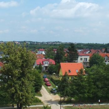 DSCF0710.jpg