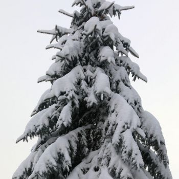202212-trojca-zima-17.jpg