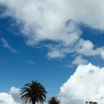 DPP_2240-1024x683.jpg